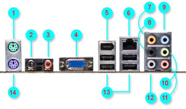 Purtos de Entrada y Salida