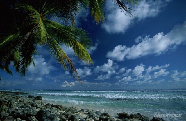 They arrive on the island