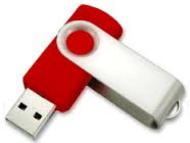 USO DE MEMORIAS USB.
