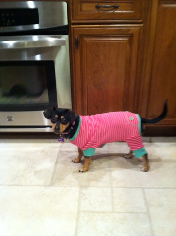 Pippa's First Christmas