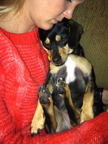 Cuddling with my TiTi