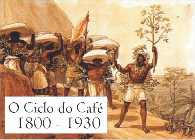 Ciclo do Café