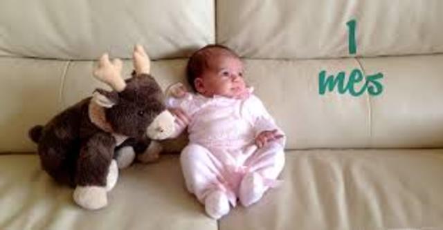 Primer mes (lactante menor)