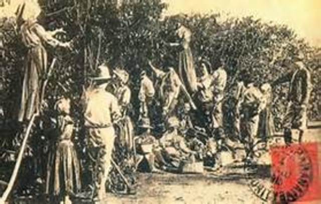 Estabilidade no Governo.