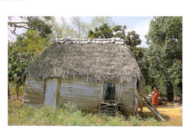 Tiano and Ciboney-stone tools