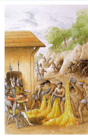 Tiano and Ciboney- crops