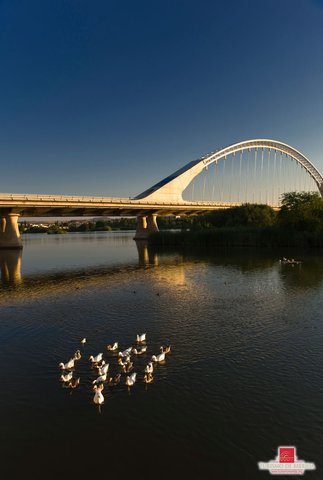 Puente Lusitania