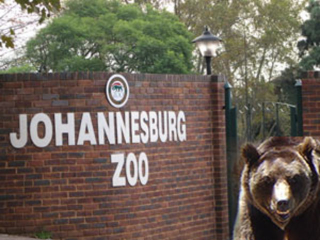 Visit Joburg Zoo