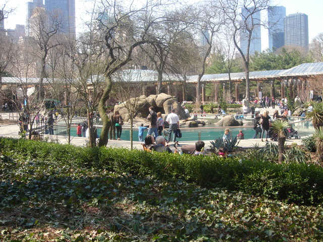 Visit centeral park zoo