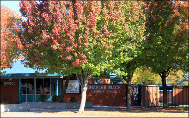 Graduated elemantary school