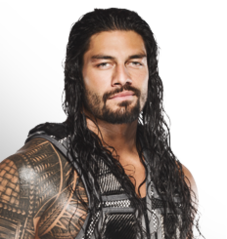 High fived my favorite wrestler roman reigns