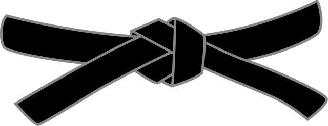 The day I got my black belt