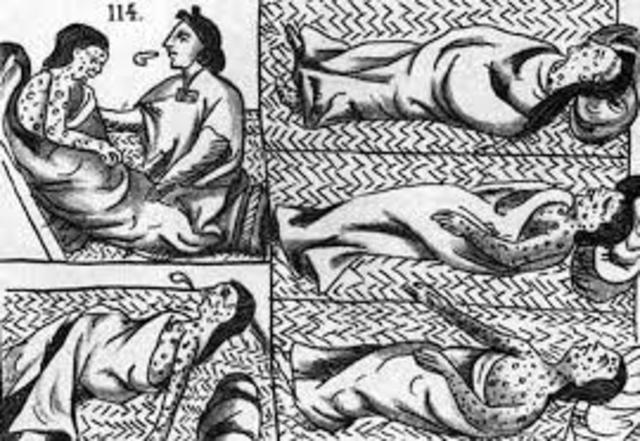 Disease in the New World