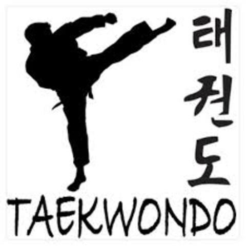 Took Taekwondo