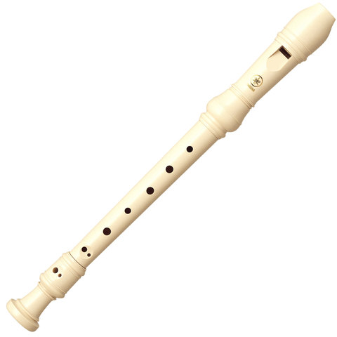 Started playing the recorder