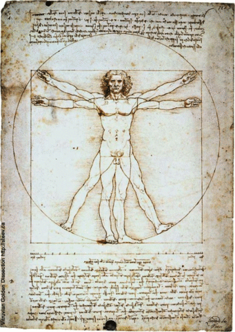 La Divina Proportione