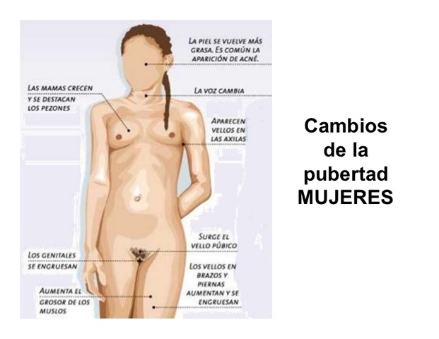 (MUJER) CAMBIOS EN LA PUBERTAD.