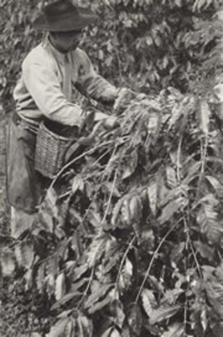 Entrada excesiva de divisas