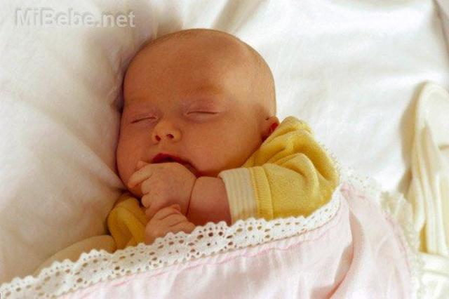 Desarrollo del lactante menor.