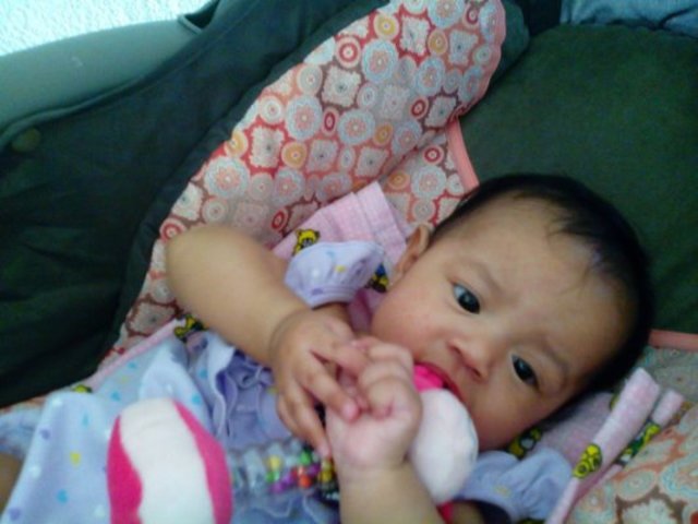 Desarrollo cognitivo.