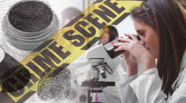 Inicios en la Criminalistica