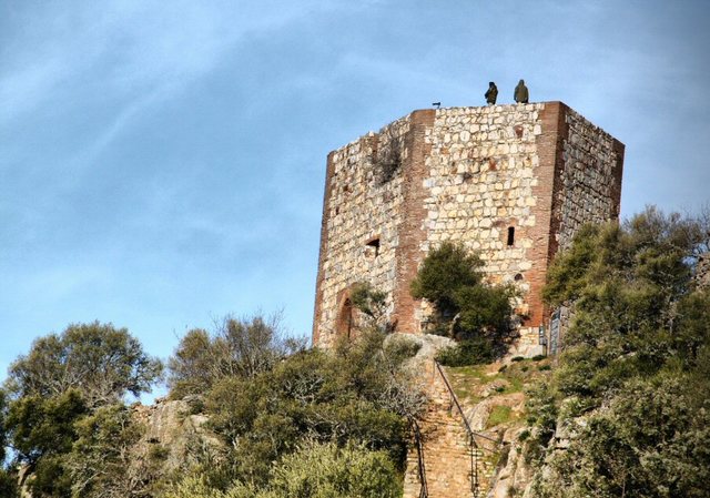 Castillo de Monfragüe