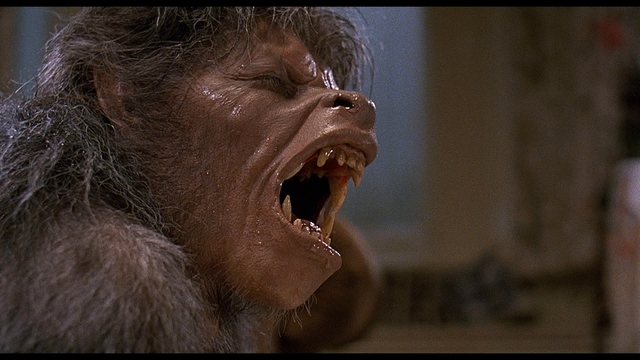 American werewolf in London