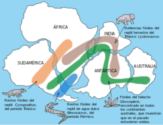 Exposición de los primeros pensamiento de la deriva continental