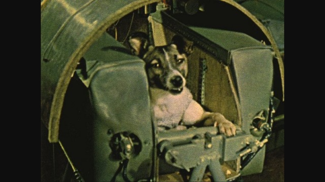 First Dog in Space