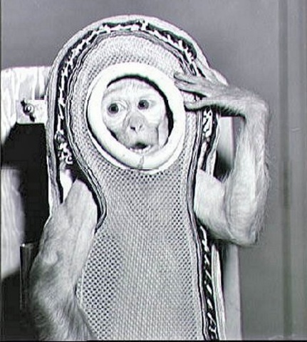 The First Monkey In Space