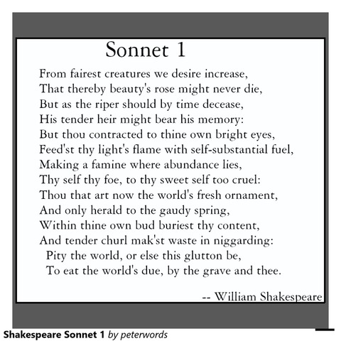 Shakespeare sonnets beegin