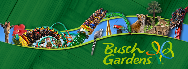 Go to Busch Gardens in Florida