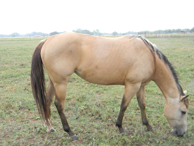 First Time Riding a Horse