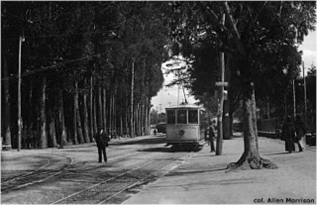 vagones montados sobre rieles