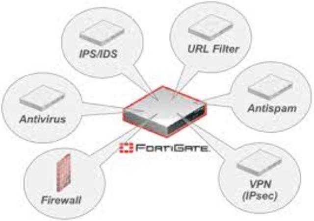 EVOLUCIÓN Y REVOLUCIÓN