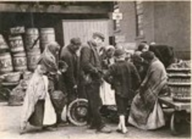 Spanish merchants return to Spain (Economic) Mexico