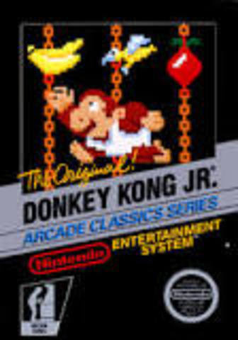 Donkey Kong Jr.