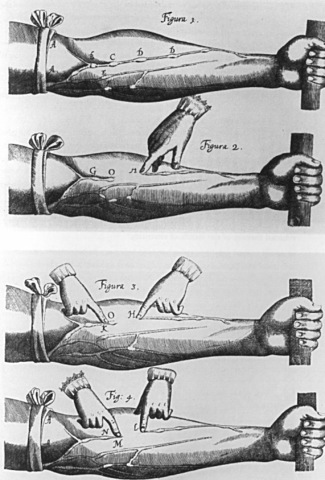 William Harvey Discovered Circulation of Blood