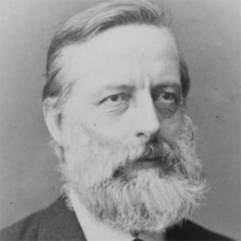 Julius Lothar Meyer -Orginized Peiodic table by Atomic volume and mass