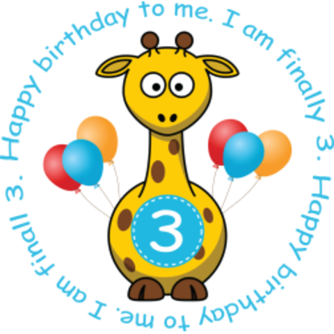 3rd Birthday