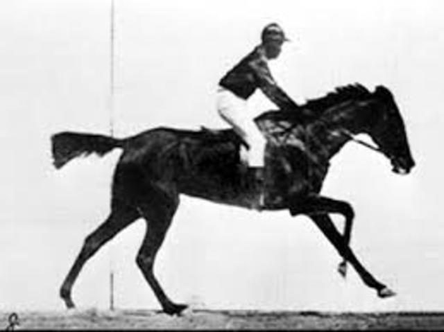 first land transportation