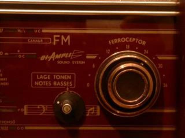First FM radio: Advantage
