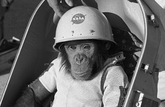The first hominidae in space