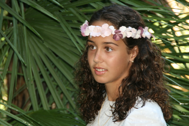 i took cominion in 2013