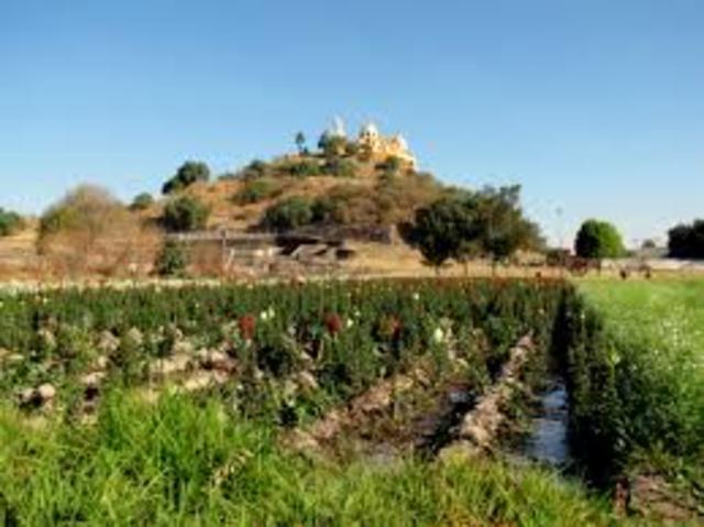 NOM-116-SEMARNAT-2005