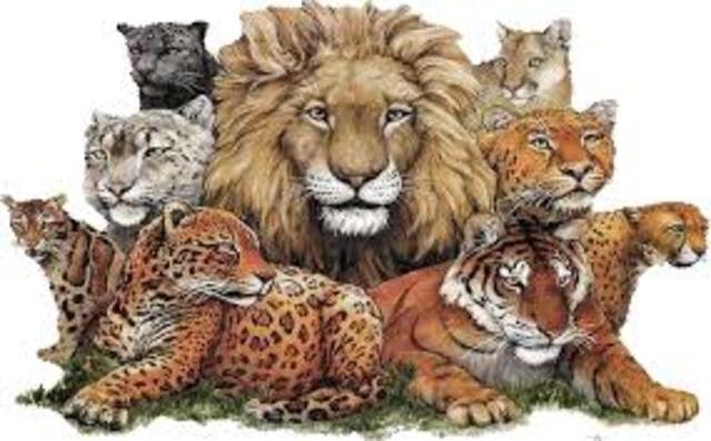 Protocolo para la conservación de la vida salvaje en Africa