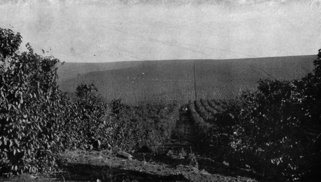 Monarchy over thrown