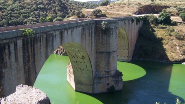 Puente de Almaraz