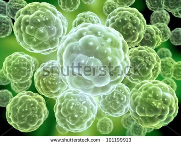 1 Billion years ago Multicellular Life appeared on Earth.