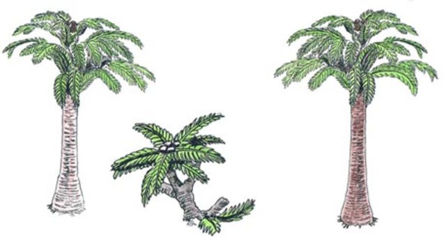 465 million years ago plants were first seen on Earth.